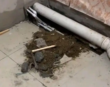 崖州卫生间漏水检测哪家好