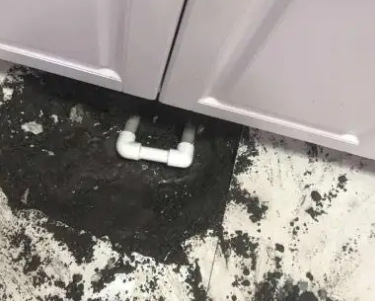 崖州查漏水哪家好